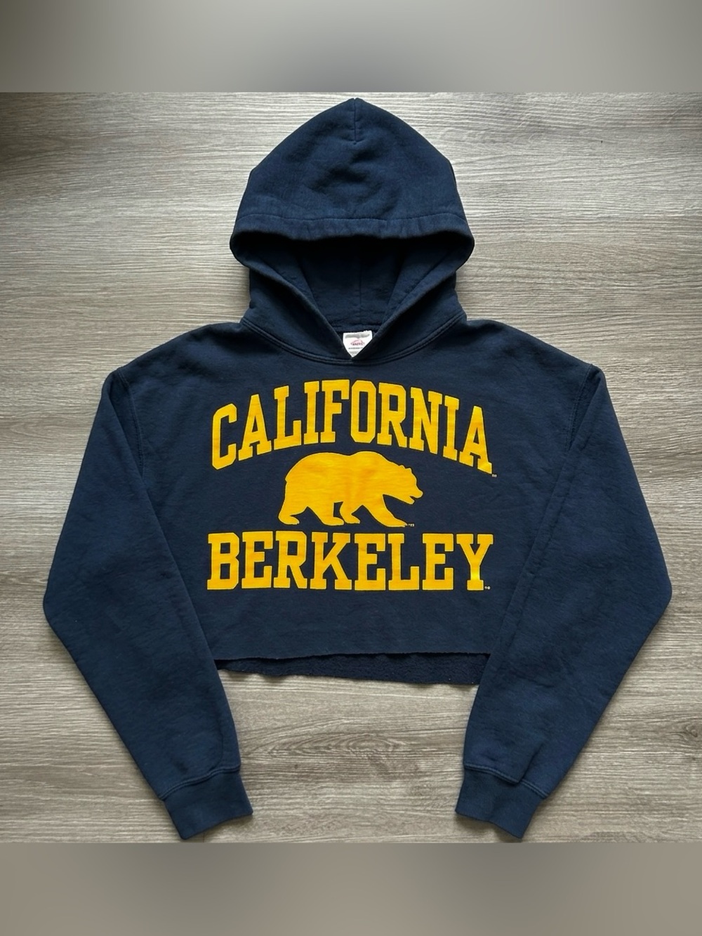 Vintage Berkeley California Cropped Navy Blue Pullover Hoodie Adult Size M Y2K